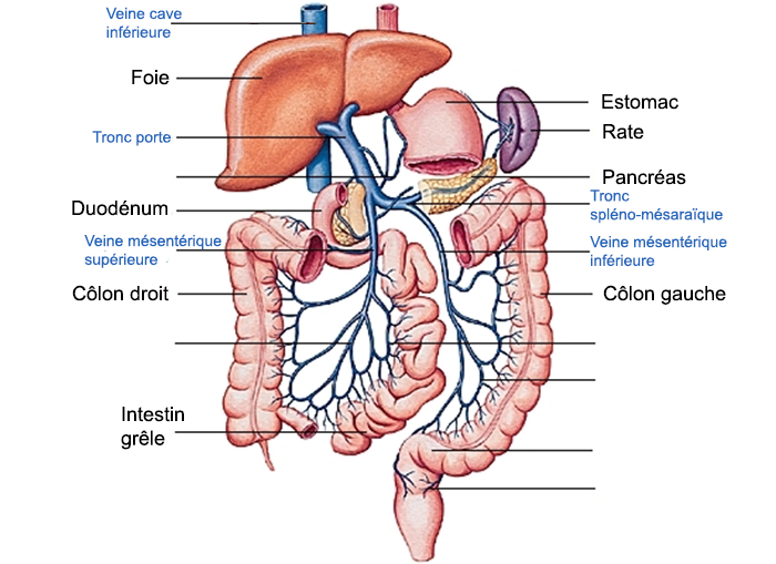 Système porte (crédits : larousse.fr).