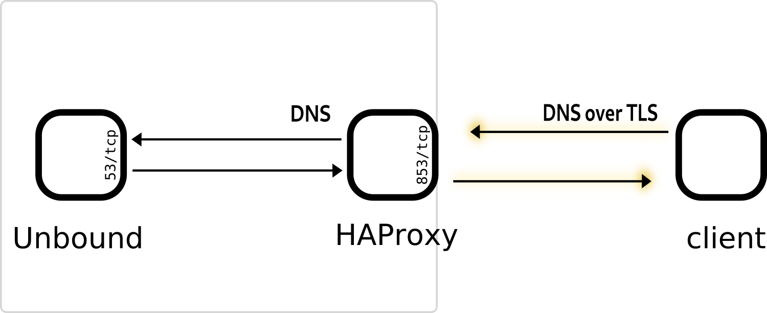 La requête arrive en TLS sur le port 853/tcp, HAproxy transfère en clair le contenu au port 53/tcp local et renvoie la réponse en TLS au client