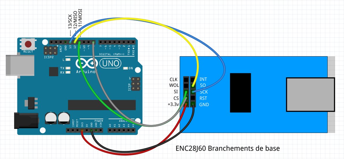 Branchement du module Ethernet