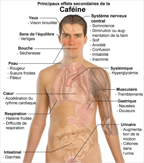 Effets secondaires de la caféine