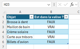 Résultat après effacement des formats.