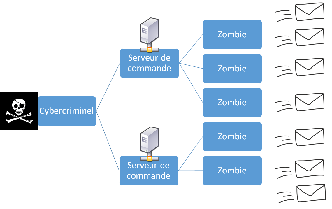 L'organisation d'un botnet.