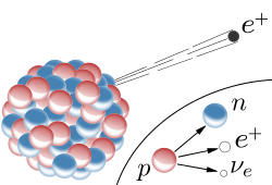 Radioactivité bêta plus, par Inductiveload, wikicommons, domaine public