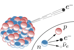 Radioactivité bêta moins, par [Inductiveload](https://commons.wikimedia.org/wiki/File:Beta-minus_Decay.svg), domaine public