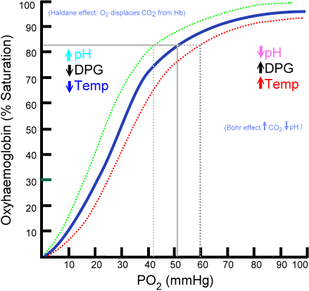 Déplacement de la courbe de Barcroft (Illustration selon https://fr.wikipedia.org)