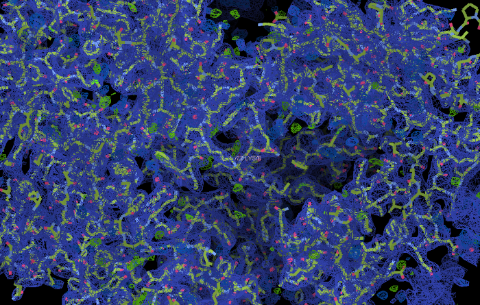 Les atomes ont été positionnés dans la carte de densité