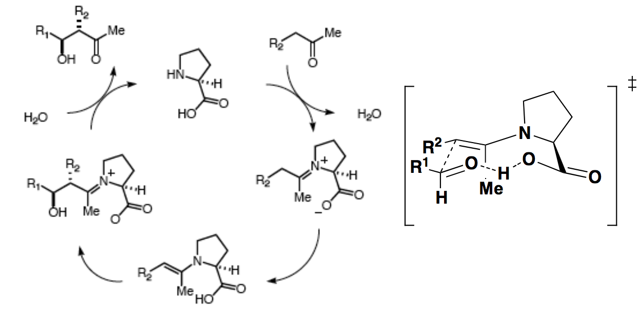 Enantioselective Aldol