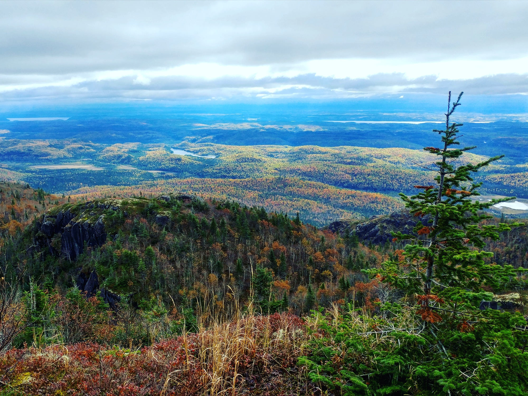 Vue d'en haut