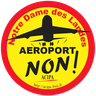 Logo de Et dans 5 ans, les avions ne décolleront pas !