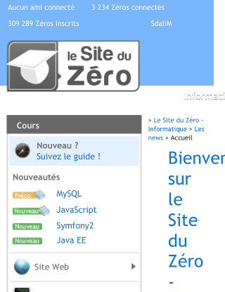 Le site vu lorsqu'il y à la balise meta et la largeur minimale fixée à 320px