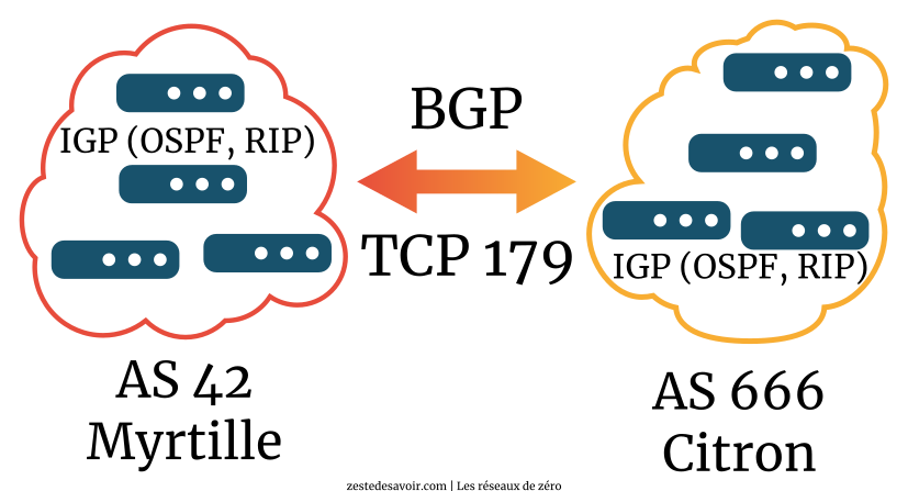 Illustration du rôle de BGP (CC BY)