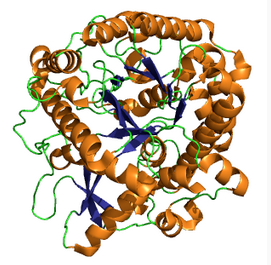 Diagramme de Richardson de la myrosinase