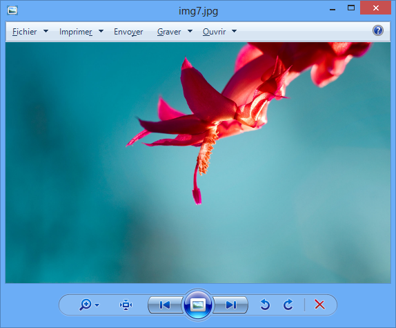 La visionneuse de photos Windows