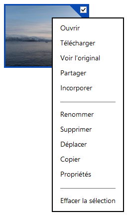 Menu contextuel d'un fichier sur SkyDrive Web