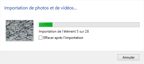 Importation en cours