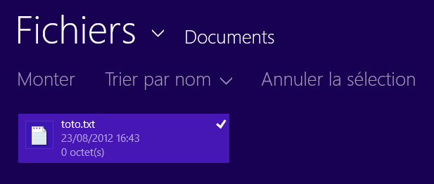 Fichier sélectionné dans SkyDrive Metro