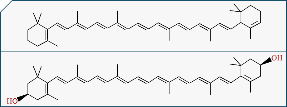 $\mathrm{Carotène}$ au dessus, $\mathrm{xanthophylle}$ en dessous