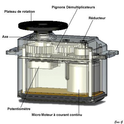 Vue interne d'un servomoteur (sans l'électronique de commande)
